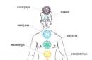 How to open the muladhara chakra and normalize its work?