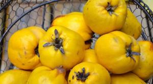 Cara membuat selai quince jepang Resep selai quince jepang
